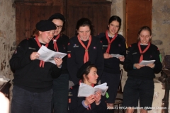 IMG_8925 IMG_8925