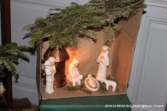 IMG_8662 IMG_8662