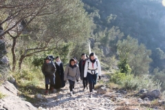 IMG_8740 IMG_8740