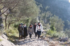 REGA St Guilhem 2015-37 REGA St Guilhem 2015-37